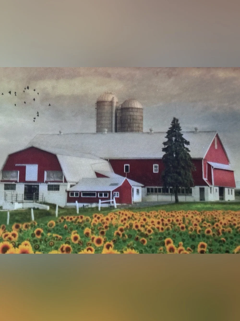 Framed Sunflower Field Wall Signed Art- USA made 27*11
